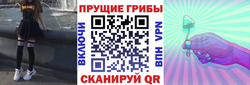 мега зеркало  Нолинск  Псилоцибиновые грибы прущие грибы 