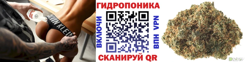 закладки  Нолинск  Конопля SATIVA & INDICA 